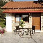 Chalet παραδοσιακό σπίτι με τζάκι