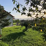 παραδοσιακό σπίτι με τζάκι