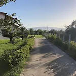 παραδοσιακό σπίτι με τζάκι Chalet *