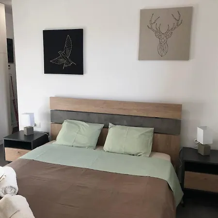 Шале Παραδοσιακό Σπίτι Με Τζάκι Волос