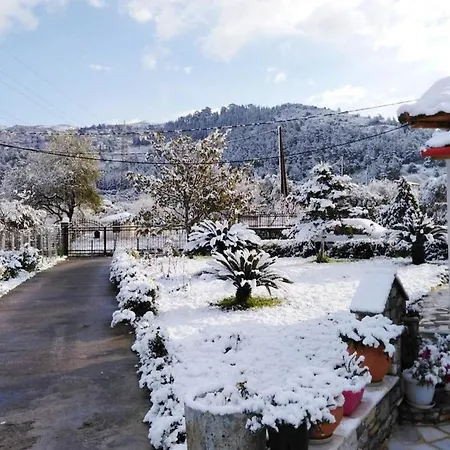 Παραδοσιακό Σπίτι Με Τζάκι Шале