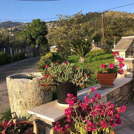 Шале Παραδοσιακό Σπίτι Με Τζάκι