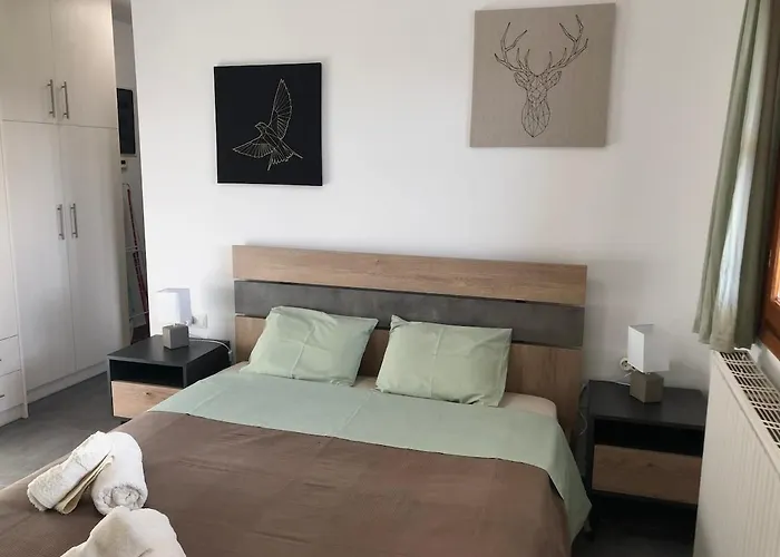 Chalet Παραδοσιακό Σπίτι Με Τζάκι Volos