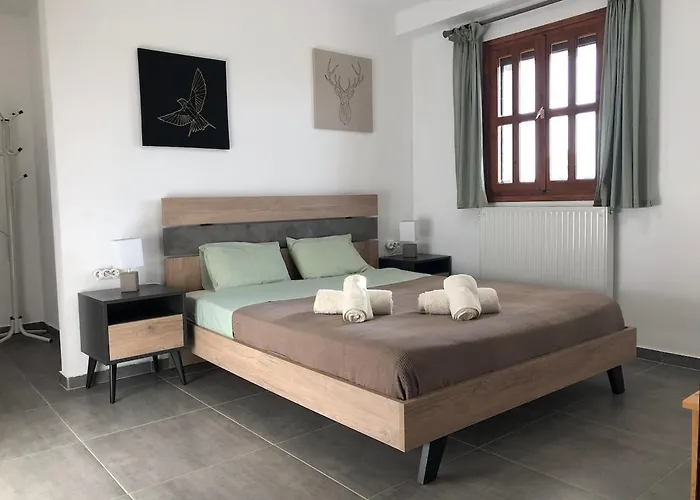 Παραδοσιακό Σπίτι Με Τζάκι Chalet Volos