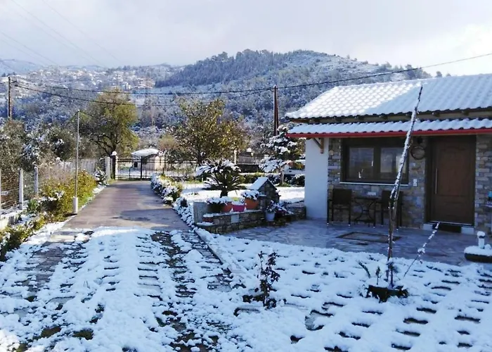 Παραδοσιακό Σπίτι Με Τζάκι