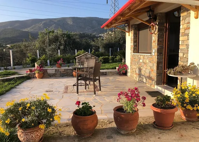 Παραδοσιακό Σπίτι Με Τζάκι Chalet