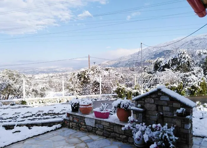 Παραδοσιακό Σπίτι Με Τζάκι Chalet *