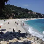 παραδοσιακό σπίτι με τζάκι Alpehytte