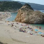 παραδοσιακό σπίτι με τζάκι Alpehytte *