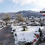 παραδοσιακό σπίτι με τζάκι Alpehytte