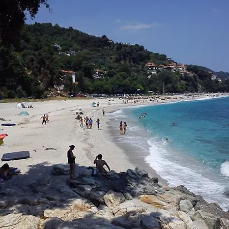 Παραδοσιακό σπίτι με τζάκι Σαλέ