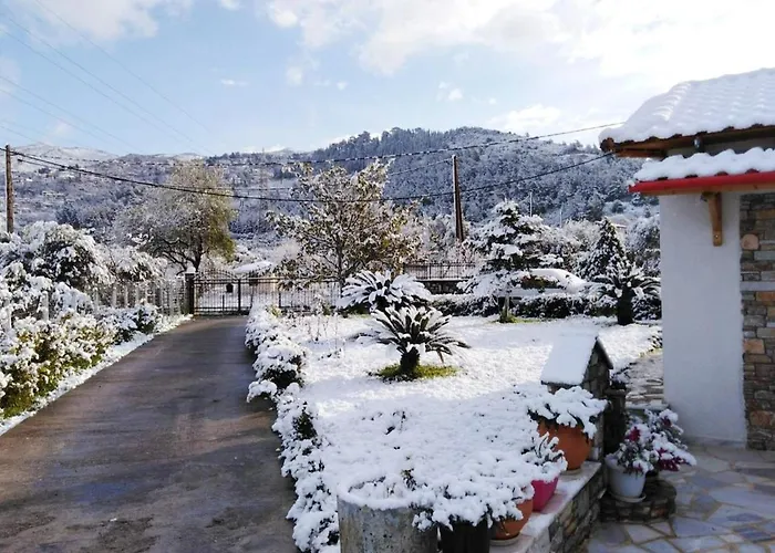 Παραδοσιακό Σπίτι Με Τζάκι シャレー