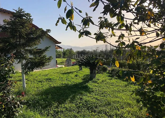 Παραδοσιακό Σπίτι Με Τζάκι